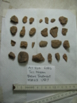 L_V23d4708 A7.324 U817  eD1 x f186 before treatment